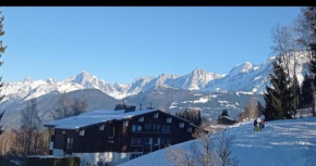 Studio porte du Mont Blanc Combloux aux pieds des pistes
